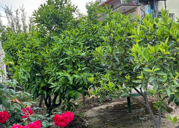 2bedroom Apartment,free Parking 06 דירה